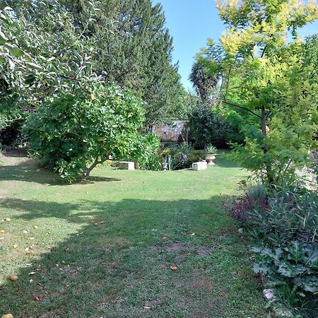 La Gueriniere L'Anglaise Châteauneuf-sur-Charente Exterior foto
